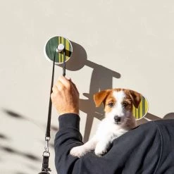 Porte-Manteau Mural En Bois De Frêne Avec Incrustations Verticales 2 Pièces - Gerusa 23 Porte-Manteau Mural En Bois De Frêne Avec Incrustations Verticales 2 Pièces - Gerusa -Décoration D'intérieur appendiabiti a muro in legno di frassino bianco con intarsi 2 pezzi gerusa 8