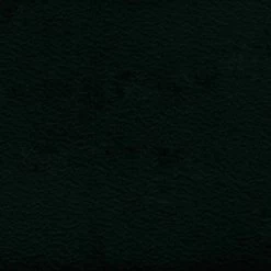 Cintre En Cuir Design Moderne Fabriqué En Italie - Adelfo -Décoration D'intérieur appenditutto da terra di moderno design in cuoio made in italy adelfo 6