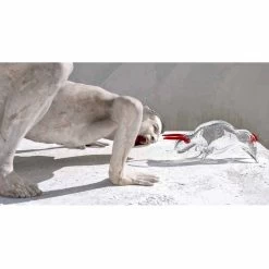 Ornement En Forme De Taureau En Verre Rouge Et Transparent Made In Italy - Torero 12 Ornement En Forme De Taureau En Verre Rouge Et Transparent Made In Italy - Torero -Décoration D'intérieur soprammobile a forma di toro in vetro rosso e trasparente made in italy torero 4