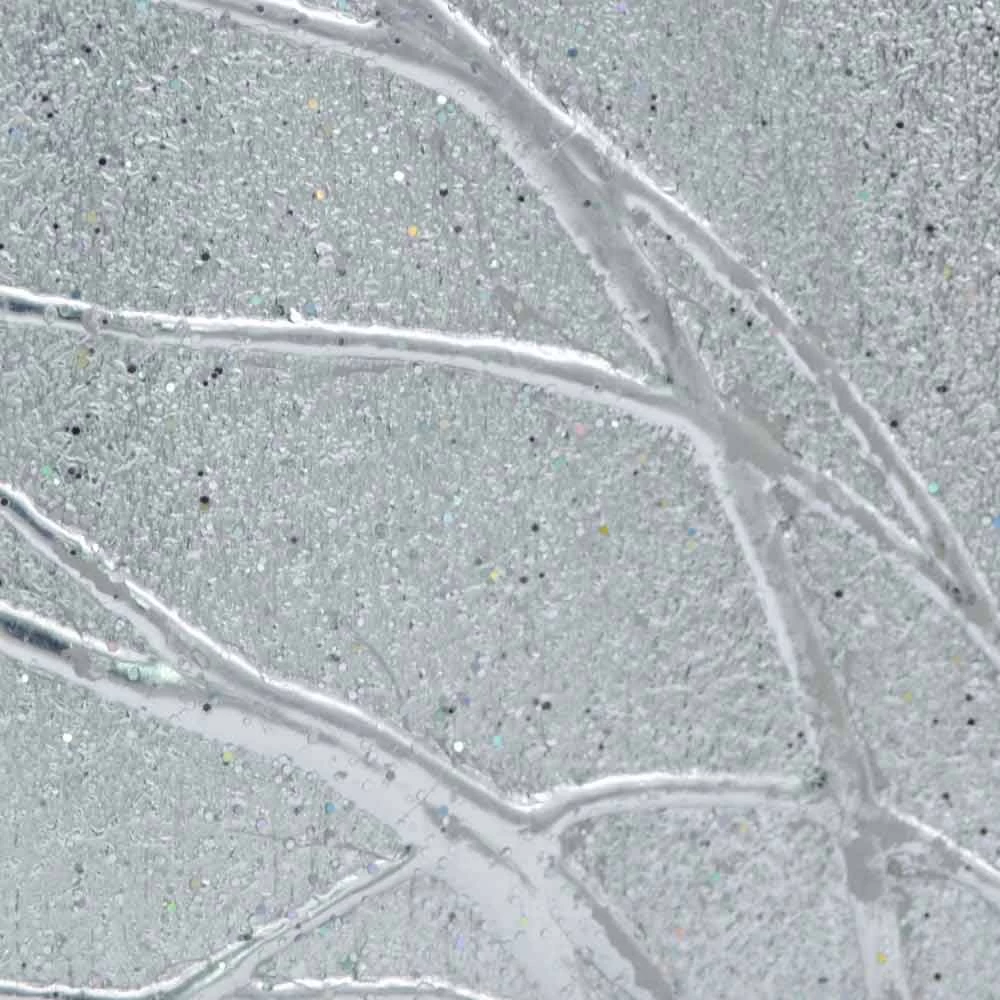 Miroir Mural Rectangulaire En Bois De Sapin En Italie Achille 5 Miroir Mural Rectangulaire En Bois De Sapin En Italie Achille – Image 3