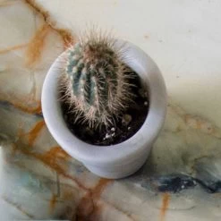 Pot De Design Arrondi En Marbre De Carrare Blanc Fabriqué En Italie - Windy -Décoration D'intérieur vasetto stondato di design in marmo bianco di carrara made in italy windy 4