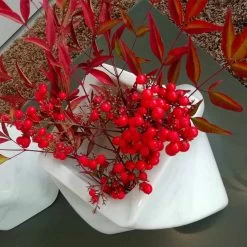 Vase Design Décoratif En Bardiglio Ou Marbre De Carrare Made In Italy - Prisma 18 Vase Design Décoratif En Bardiglio Ou Marbre De Carrare Made In Italy - Prisma -Décoration D'intérieur vaso decorativo di design in marmo bardiglio o di carrara made in italy prisma 1