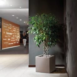 Vase En Polyéthylène Coloré De Forme Cubique Fabriqué En Italie - Tonello -Décoration D'intérieur vaso in polietilene colorato forma cubica realizzato in italia tonello 6