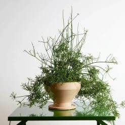 Vase à Fleurs Design En Terre Cuite Avec Soucoupe Made In Italy - Ettie -Décoration D'intérieur vaso portafiori di design in terracotta con sottovaso made in italy ettie 4