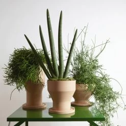 Vase à Fleurs Design En Terre Cuite Avec Soucoupe Made In Italy - Ettie -Décoration D'intérieur vaso portafiori di design in terracotta con sottovaso made in italy ettie 7